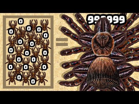 Evolving a Spider to MUTANT!