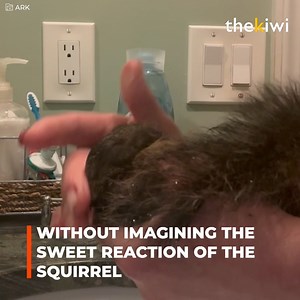 98K views · 1.6K reactions | This squirrel had its body full of fleas. Upon seeing it, this woman decided to help by giving it a bath. And its reaction was very touching. | The Kiwi | Facebook