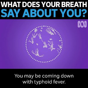 The nose knows.👃 | ABC Science