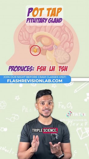 MEMORY TRICK: ENDOCRINE GLANDS #biology #science #gcse