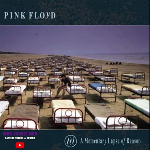 Pink Floyd - One Slip (Backing Track) No Guitar *CLIP* Full Video Attached