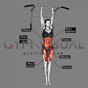 Illustartions, gifs and videos on Gym visual - gymvisual.com | Gym visual
