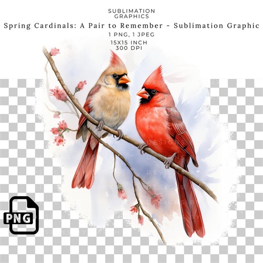 Watercolor Cardinal Pair: Spring Bird Design (PNG Clipart) - Etsy