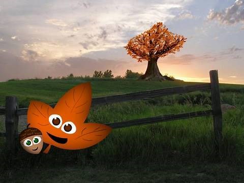 The Season (Short Film)