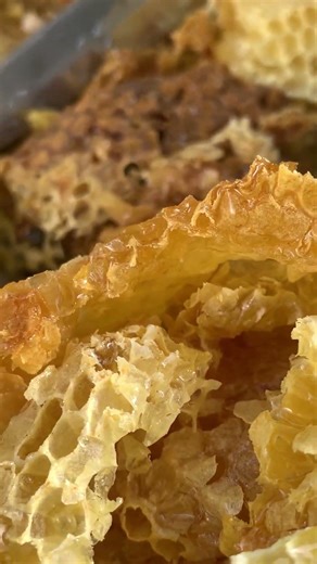 Busy Worker Bees After the Harvest 🐝 | Daily Hive Life