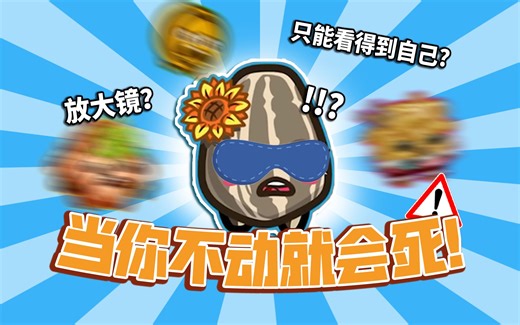 只看得到自己怎么玩嘛？？！