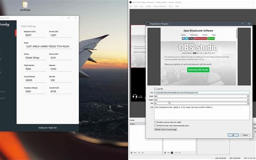 模拟飞行直播插件BeneOverlay安装和使用教程