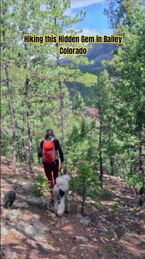 Morrow Mountain Trail - Bailey Colorado #hiking #coloradohiking #hikingwithdogs
