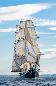The Morgenster has set sail from Tenerife, heading to Sal, Cape Verde! The adventure continues as we explore the beautiful islands of Cape Verde. 🌴 We’re excited to offer special deals for families and young travelers that want to join the Island Hopping in Cape Verde voyages. Don’t miss out on this unique opportunity to experience the magic of Cape Verde! 🐬🐚 Visit our website for more information and to book your next adventure! ⛵️#Morgenster #LifeAtSea #JoinTheAdventure #Sailing #TallShip #