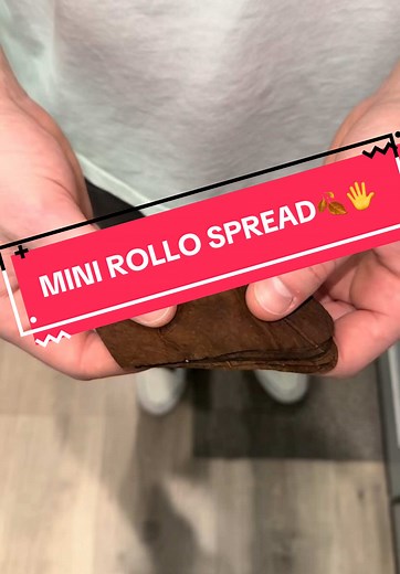 DIY Mini Rollo Spread Leaf Vacuum Technique