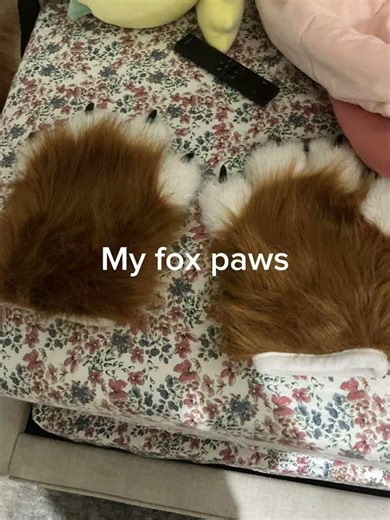 All of my Furry stuff
