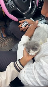 Son s’appelle c’est Mufasa 😂🥰 mais moi je l’appelle chat blanc 🐈🤍 | BIBI SMILE