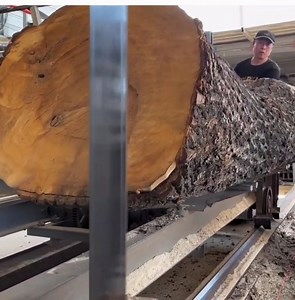 The best skill cutting a big wood | Making Video