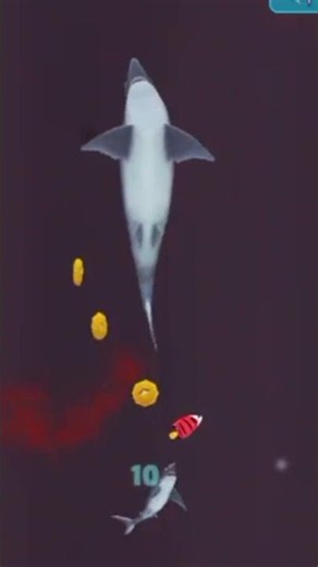 Tension! Mako Shark Hunts for Rare Prey: Electro Shark (Hungry Shark Evolution)