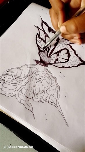 step by step draw butterfly 🦋✨, easy drawing of buterfly #asthatic #drawing #butterfly