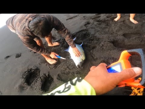 Raw Footage 24lb Ulua & 14lb Omilu Caught! Hawaii Plugging w/Pops