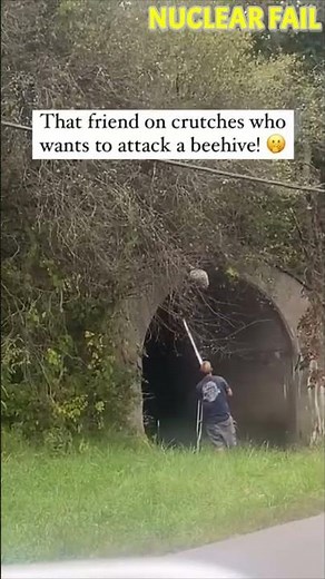 Fool hits Bee Nest!