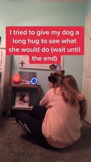 Heartwarming Moments with German Shepherd Dogs