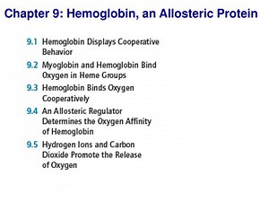 Chapter 9: Hemoglobin, an Allosteric Protein - SlideServe