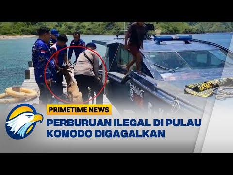Polairud NTT Gagalkan Perburuan Rusa Ilegal - [Primetime News]