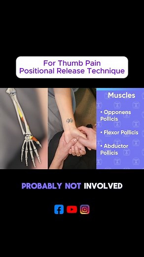 Thumb aching from overuse? Here’s the one technique most people skip and it’s usually the one that works the fastest. 🙌 In this demo, I show positional release: a gentle, precise method where we locate the tender point, shorten the muscle, and hold… allowing the nervous system to finally stop guarding. What: A simple therapeutic release for thumb, hand, and wrist pain Who: Anyone dealing with overuse from texting, typing, gripping, lifting, or manual work When: At the first sign of tension, fat