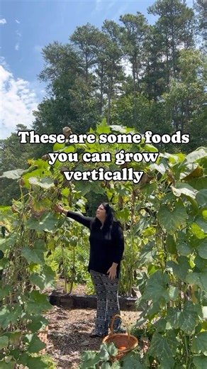 103K views · 652 reactions | Vertical gardening allows us to grow so...