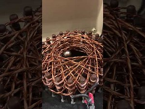 Activating first and second channel on the starship Rodin coil #pemf