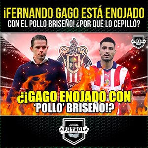 1K views · 2.6K reactions | ¡FERNANDO GAGO está ENOJADO con el POLLO...