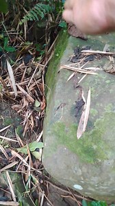 Purmang box at may angcor luck #hilightfollowersnonfollowers #fbreelsfypシ゚viralシ #treasurebox #viralpost #hilights | Pobreng Hunter Vlog