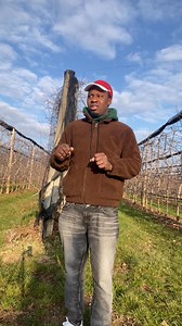 You can start applying for farm work now, no waste time this year grab every opportunity | WHO KNOW MAN