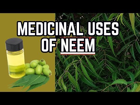 NEEM - Uses in TRADITIONAL MEDICINE / Earth's Medicine