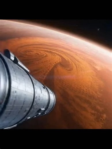 meowl #meowl | owl running