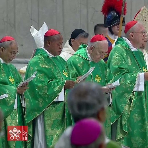 183K views · 10K reactions | Pope Francis presides over Mass with the College of Cardinals in St. Peter's Basilica, wrapping up two days of meetings with them to discuss Praedicate Evangelium, the new Apostolic Constitution of the Roman Curia. Find out more: https://www.vaticannews.va/en/pope/news/2022-08/pope-cardinals-wonder-gratitude-alive-our-hearts.html | Vatican News | Facebook