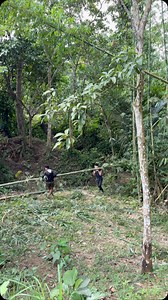 485 reactions · 10 comments | Supero’s Kaizen Camp | Supero Dog Farm | Facebook