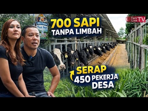 A Couple Works Together to Build an Integrated Farm, Managing 700 Cows Waste-Free!