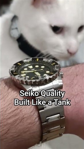 🐱⌚ When the Seiko 5 Steals the Show… and the Cat Approves 🖤💛