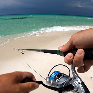 5.7M views · 10K reactions | There were 100's of Giant Fish Right off the Beach! | Justin Reed Fishing | Facebook