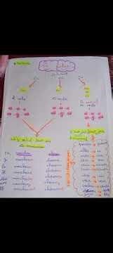 le futur simple بدون تعقيد شرح مبسط