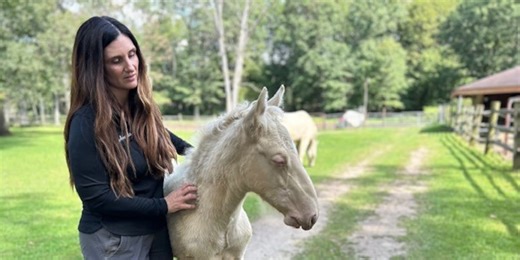 Rare wild mustang and her foal will soon be helping local veterans heal