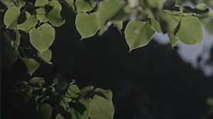 Creators of 'I Like Your Hair' hope to change how people with alopecia are treated