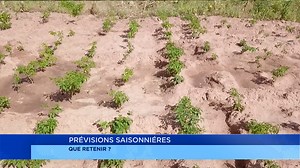 Le saviez-vous? La saison des pluies de 2025 sera courte. Diane Laourou, cheffe service prévisions et assistance météorologique à Météo Bénin, interprète ici les résultats des données météorologiques fournies par son agence. Elle recommande aux producteurs de privilégier des cultures à cycle court et résistantes à la sécheresse. #wasexo | Bénin TV - SRTB