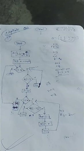 Find Duplicate In Array Flowchart #shortvideo #shorts #flowchart
