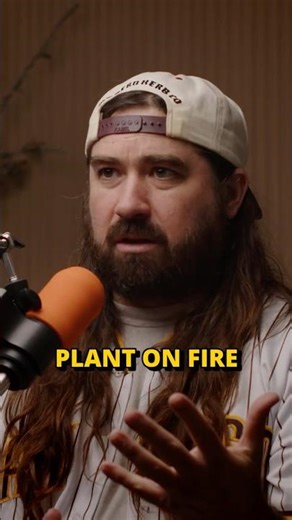 The MOST Important Part in Marijuana Harvesting!