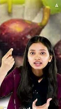 Anjeer Veg ya Non‑Veg? Fig–Wasp Pollination Explained | Class 12 Biology NCERT NEET | Shivani Ma'am