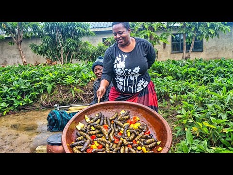 My mom's Zimbabwean Village recipe of cooking Mopane worms ( Madora/Amacimbi)