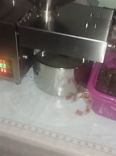 rs__electronics (@rs__electronics)’s videos with orijinal səs - rs__electronics