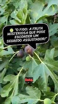 🍈 “The Fig: The Mysterious Fruit That May Hide a Terrifying Secret!” #curiosities