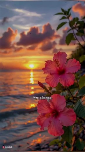 VOCÊ não vai parar! ❤️🙏#deus_no_controle #amigofiel #meuredentorvive #amigojesus #gratidao #amorsemigual #arrebatamentoestaproximo #gratidaopelavida