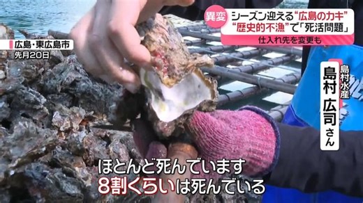 広島で養殖のカキに異変…“歴史的不漁”で「死活問題」　都内飲食店にも影響（日テレNEWS NNN）