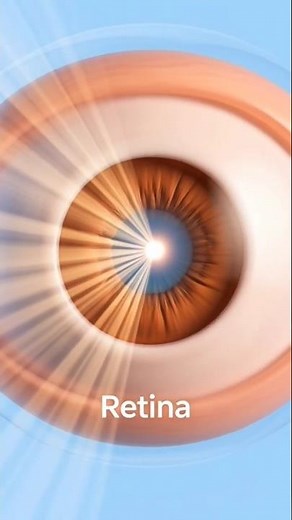 How Do Your Eyes Work? 👁️ The Secret Behind Your Vision! #medicalanimation